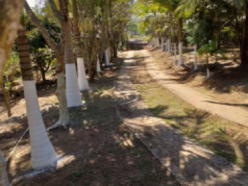 Área - Venda - Jardim Zilda - Ribeirão Pires - SP
