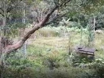 Chácara - Venda - Estância Angelina - Suzano - SP