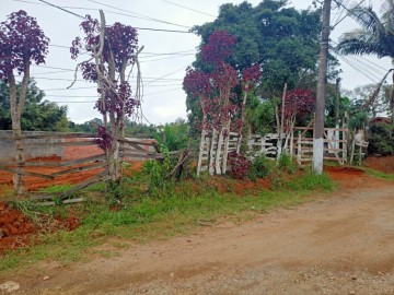 Terreno - Venda - Bairro do Rafo - Suzano - SP