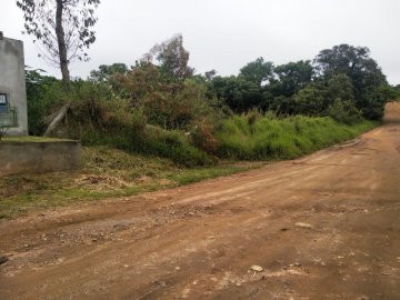 Área - Venda - Distrito de Palmeiras/ipelandia - Suzano - SP
